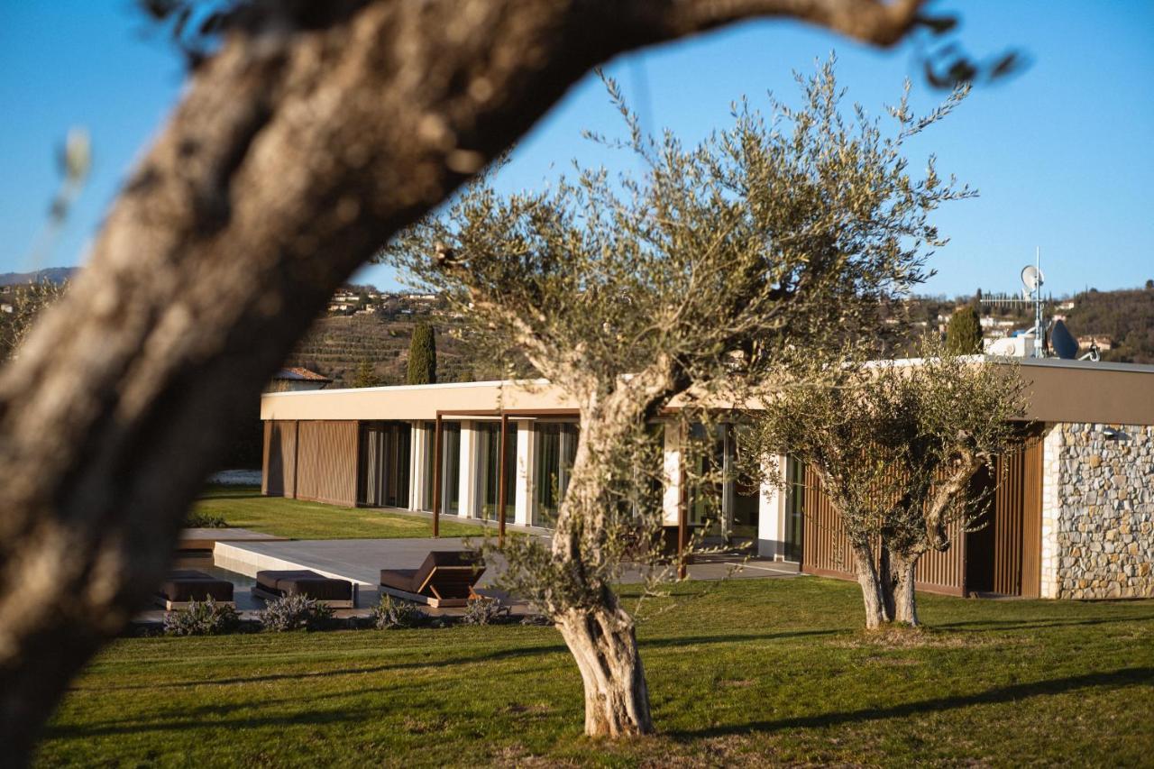 Residenza Cavaion Villa Calmasino Bagian luar foto